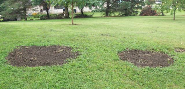 Openings to the Dual Septic Tanks