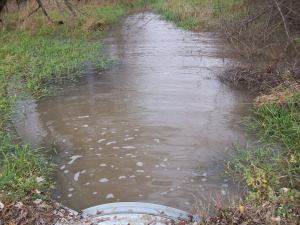 Runoff Heading to Lake MacBride