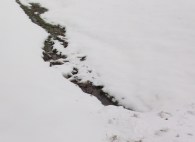 The Ditch in Winter