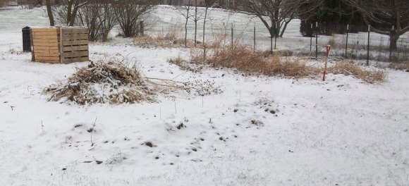 Garden After First Snowfall