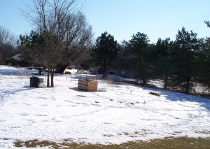 Warm Winter Temperatures