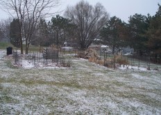 Garden in Late Autumn