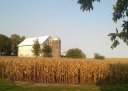 Iowa Row Crops