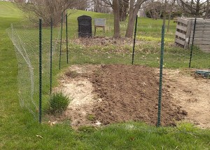 Three Rows Planted Today