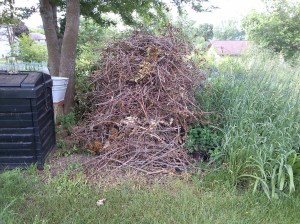 Brush Pile