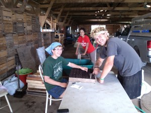Working in the Barn