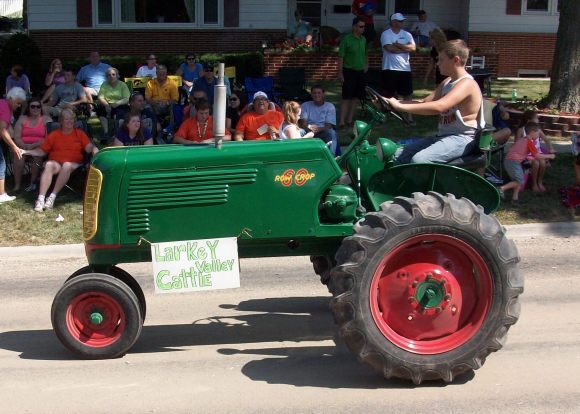 ... as did Larkey Valley Cattle...