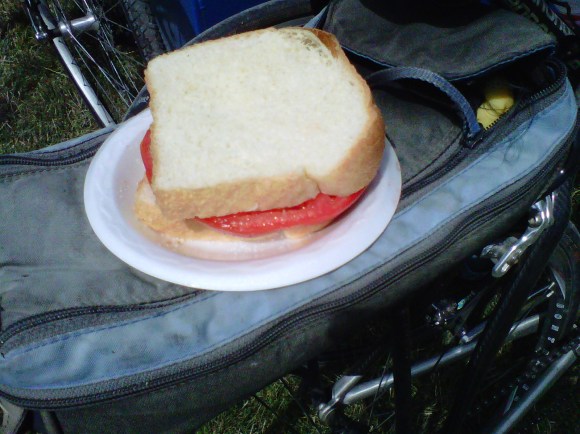 Fresh Tomato Sandwiches