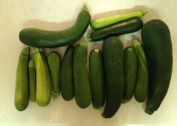 Zucchini