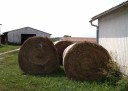 Hay Bales