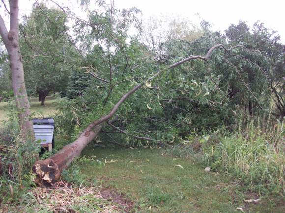 ... which somehow missed most everything,