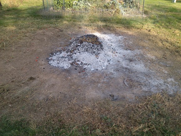 Ashes from the Brush Pile