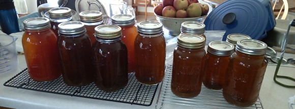 Turnip Green Soup Stock and Tomato Juice