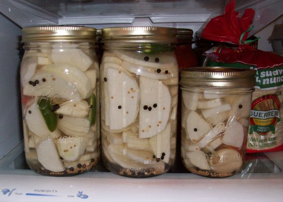Daikon Radish Pickles