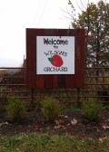Wilson's Orchard