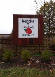 Wilson's Orchard