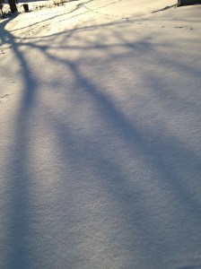 Snow Tracks