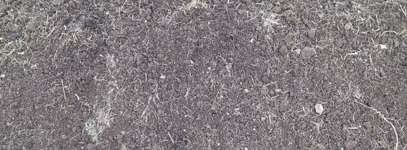 Garden Soil