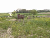 Woodcutting Work Site