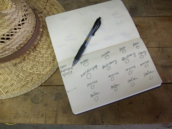 Final Planting Schematic