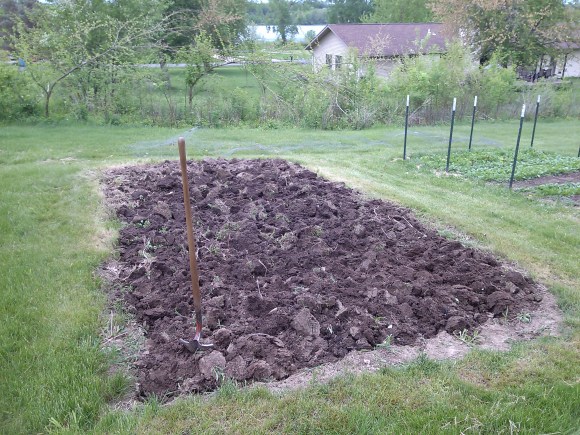 Garden View of Lake Macbride