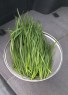 Garlic Chives