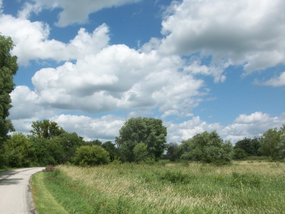 Lake Macbride State Park