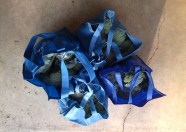 30 Pounds of Broccoli