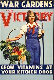 victory garden 3t01136u