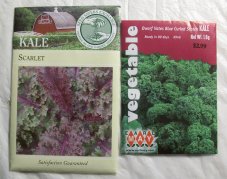 Kale Seeds