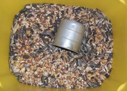 Bird Seed