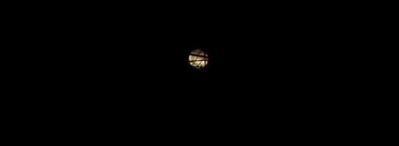 Full Moon Through Maple Tree