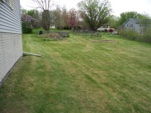 Cleaned Up Yard