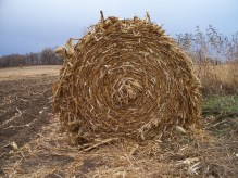 Hay Bale