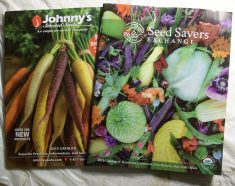 Seed Catalogues