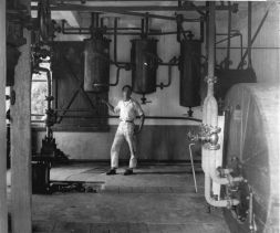 Palm Oil Extraction Photo Credit Wikimedia Commons