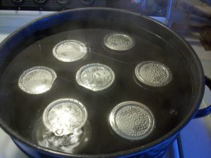 Canning Soup Stock