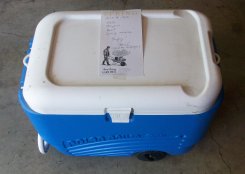 Garden Shares for Library Workers