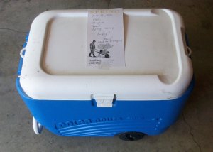 Garden Shares for Library Workers