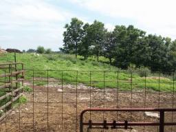 View from the Barn