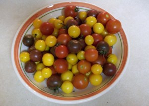 Cherry Tomatoes from the Garden