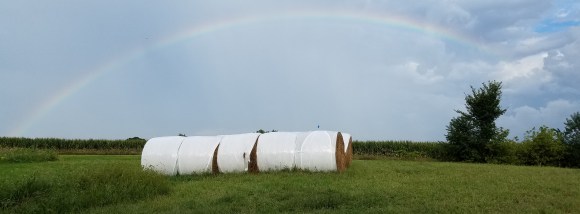 Rainbow at Wild Woods Farm