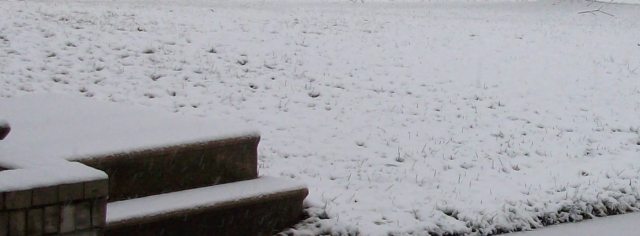 First Snowfall